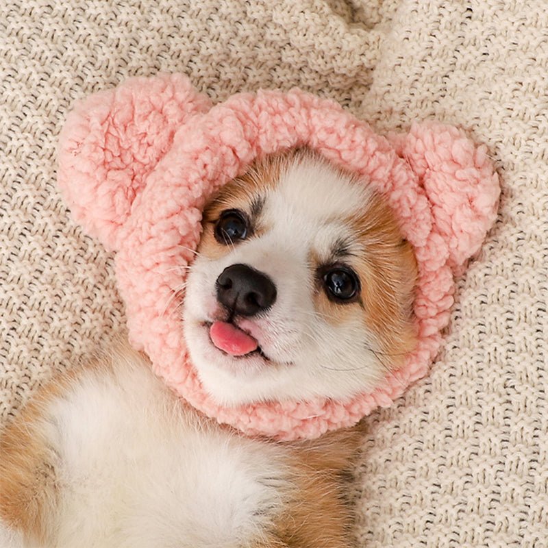 Warm Plush Bunny Ear Dog Hat