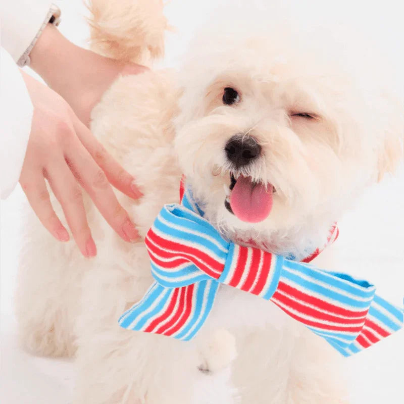 Soft Comfortable Dog Bandana Bib