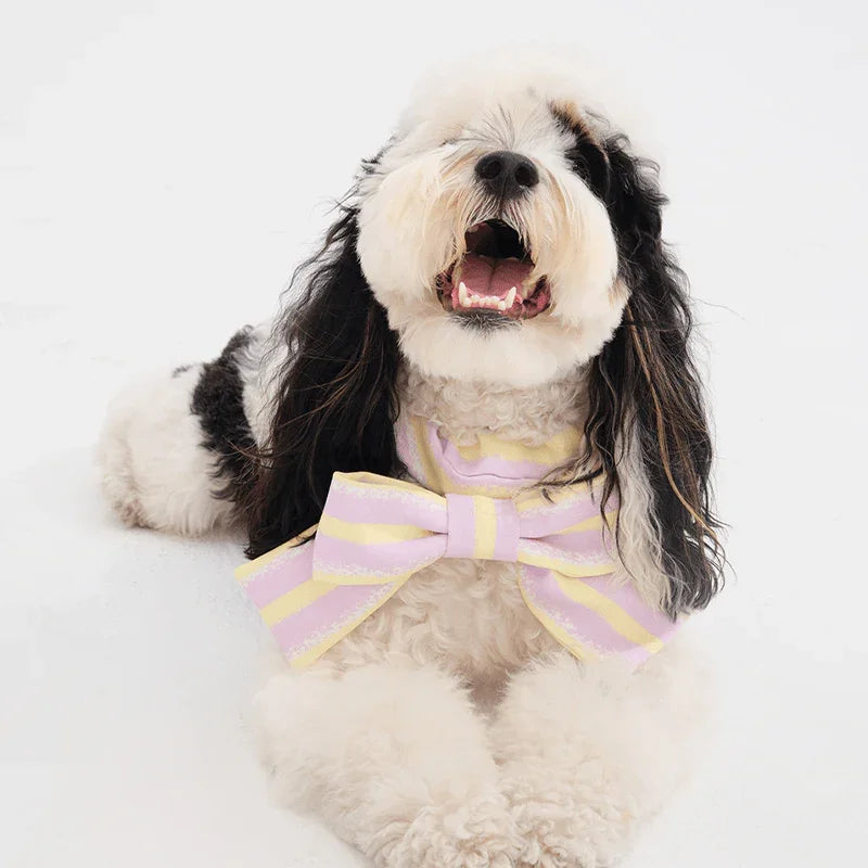 Soft Comfortable Dog Bandana Bib