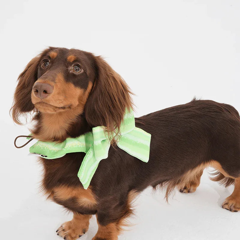 Soft Comfortable Dog Bandana Bib