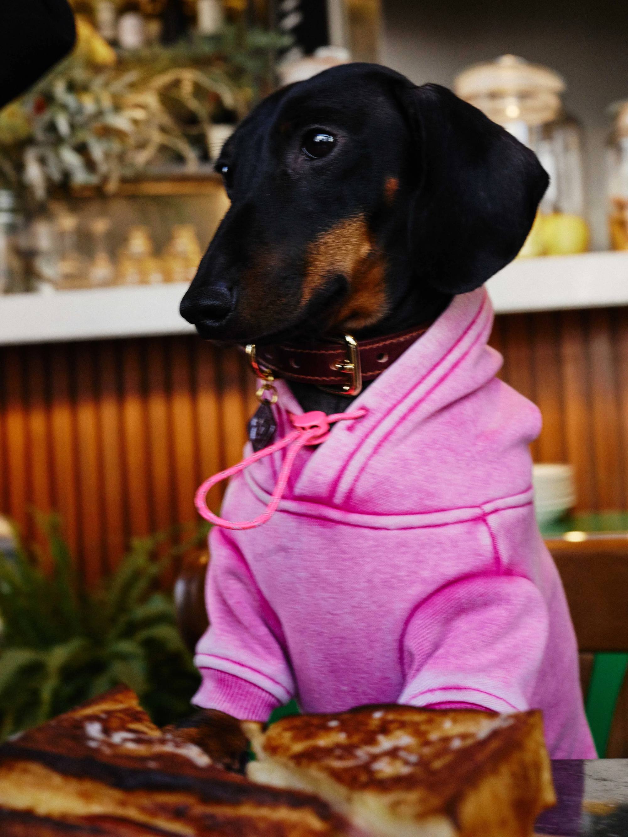 Vintage Dyed Fleece Dog Sweatshirt