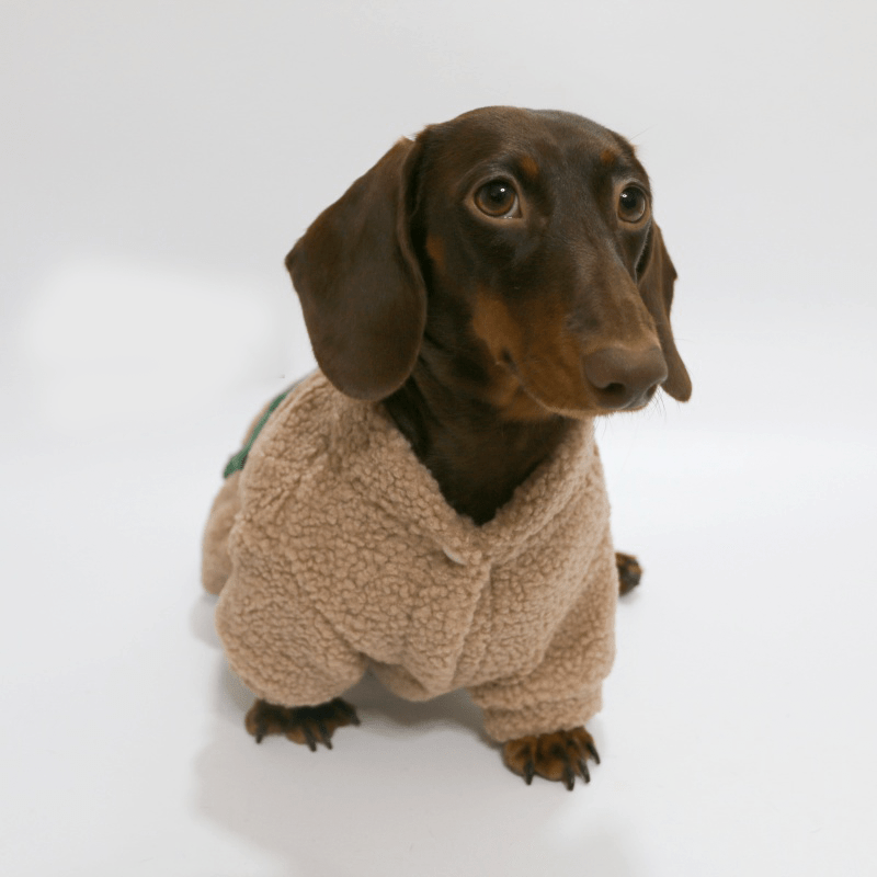 Warm Dachshund Dog Fleece Coat