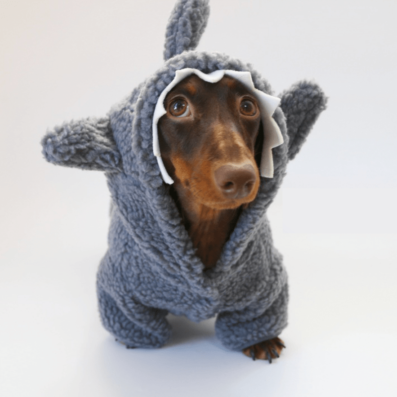 Warm Dachshund Dog Shark Hoodie Coat