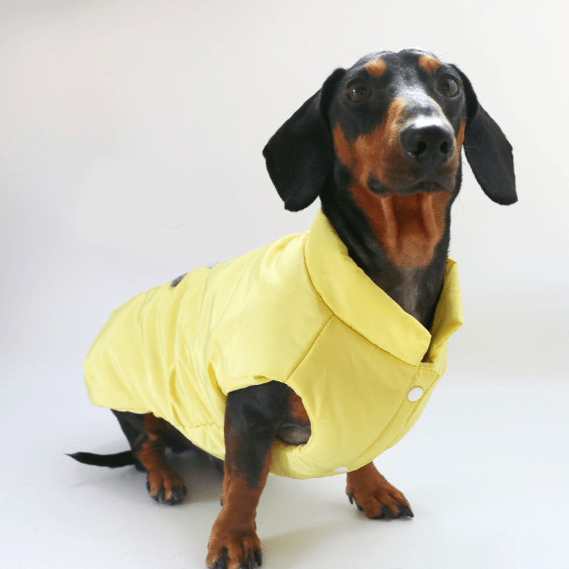 Warm Dachshund Dog Coat Vest