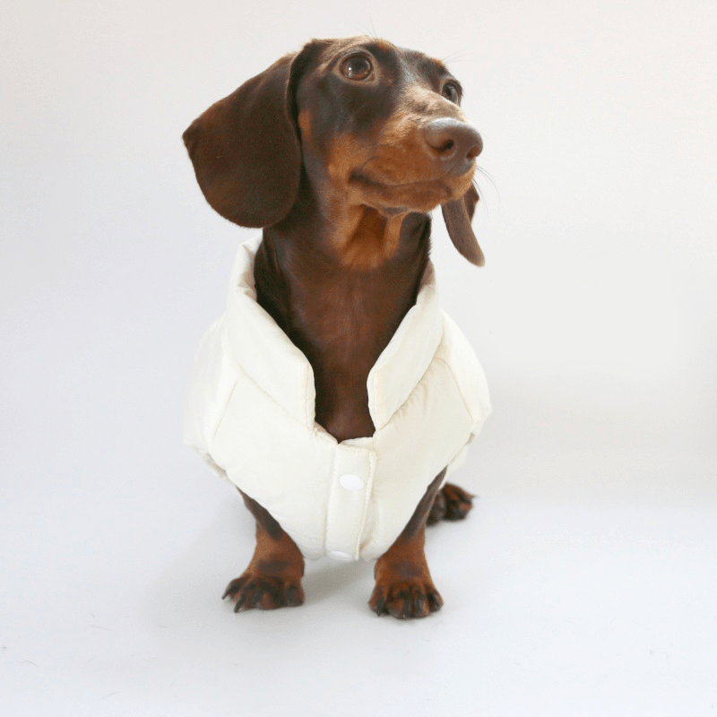 Warm Dachshund Dog Coat Vest