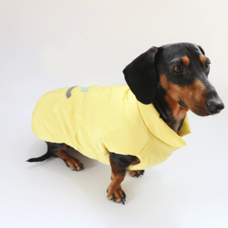 Warm Dachshund Dog Coat Vest