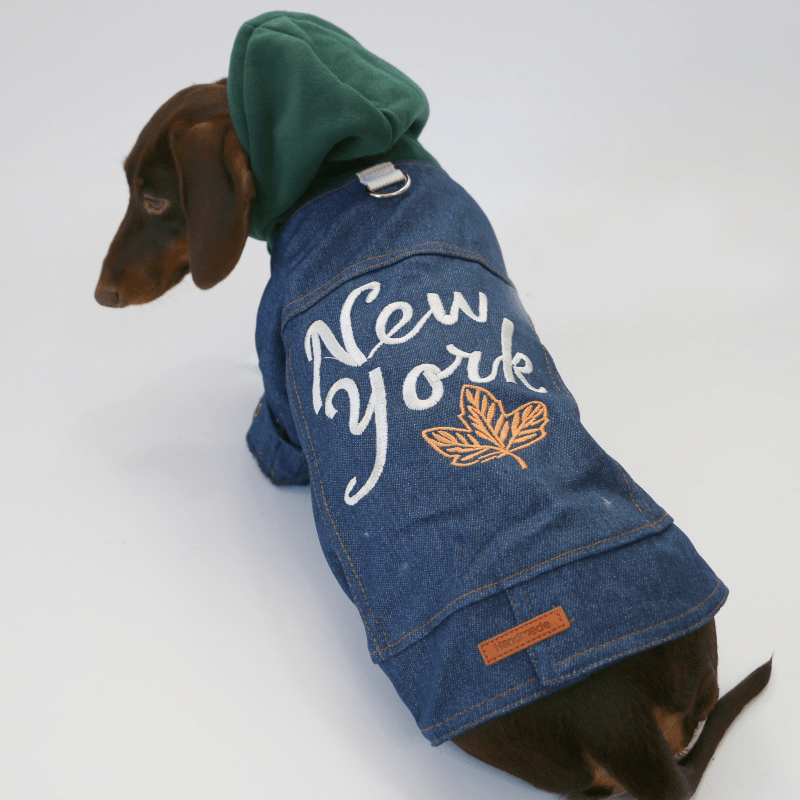 Trendy Denim Dachshund Dog Jacket