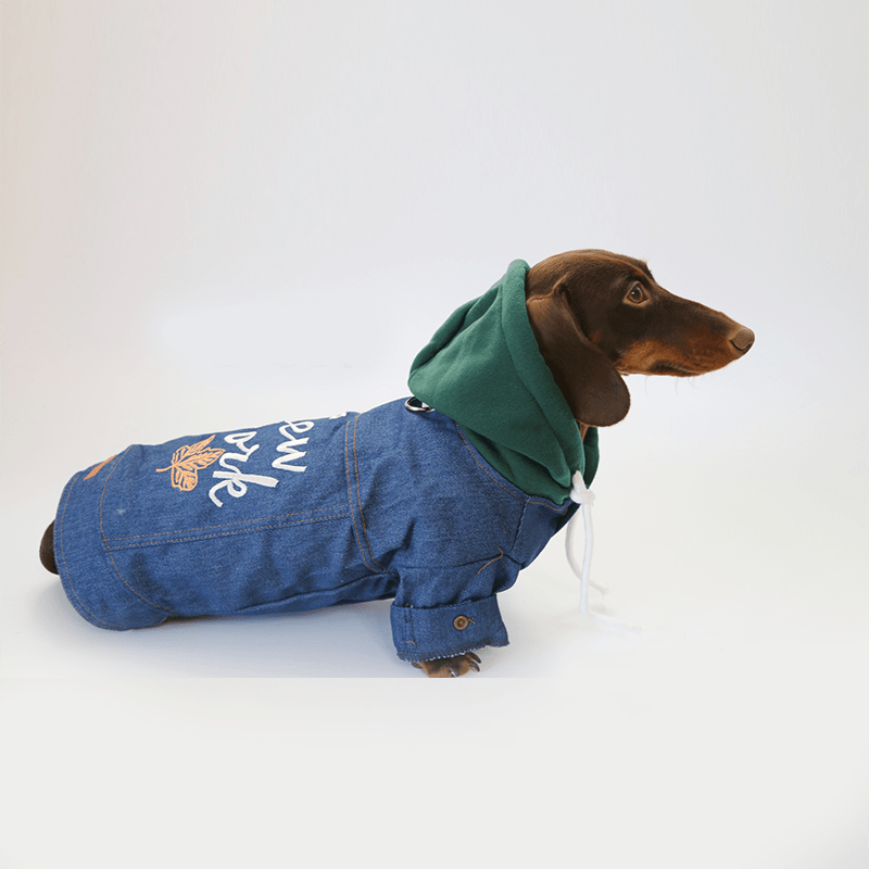 Trendy Denim Dachshund Dog Jacket