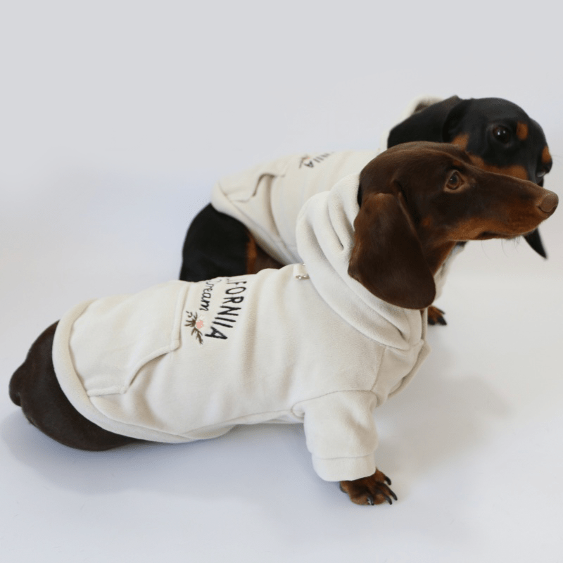 Soft Warm Dachshund Dog Hoodie
