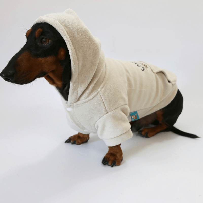 Soft Warm Dachshund Dog Hoodie