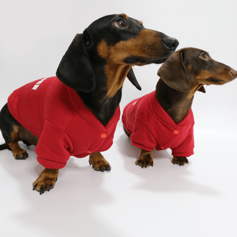 Soft Warm Dachshund Fleece Sweatshirt