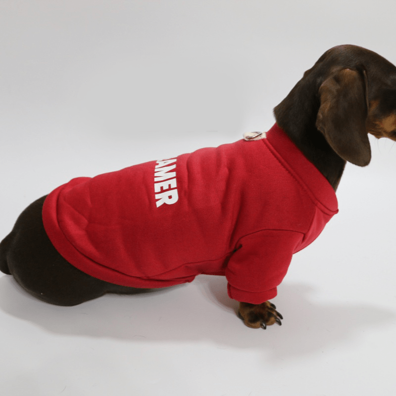 Soft Warm Dachshund Fleece Sweatshirt