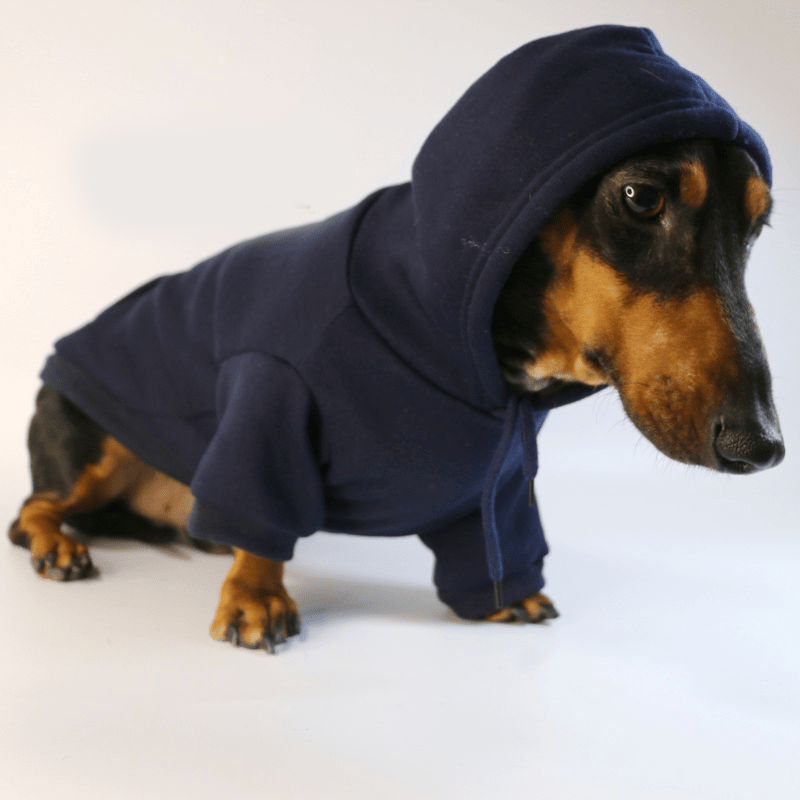 Casual Sporty Dachshund Hoodie