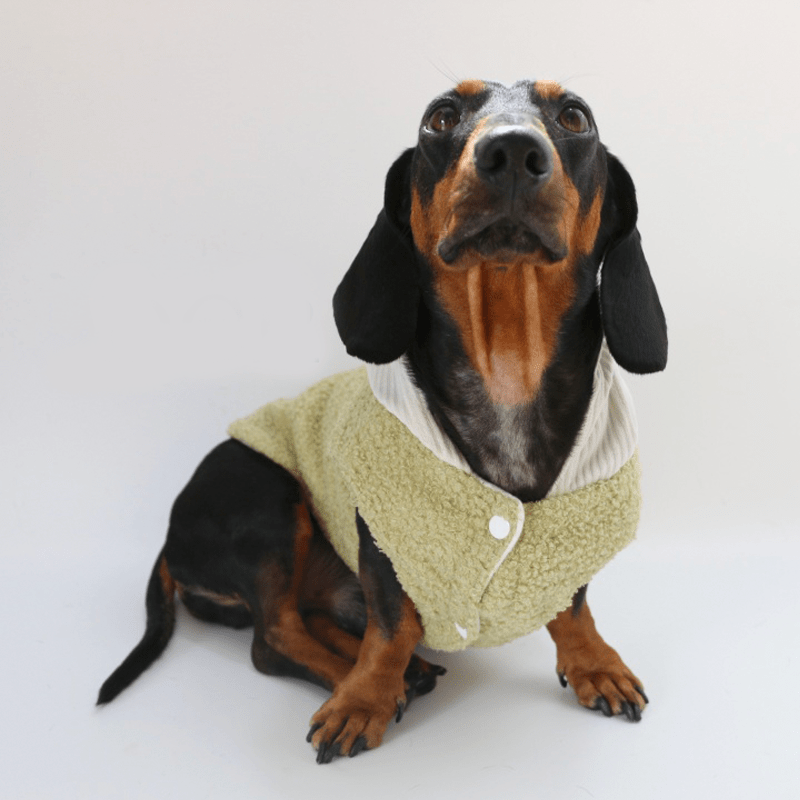 Warm Dachshund Dog Fleece Jacket