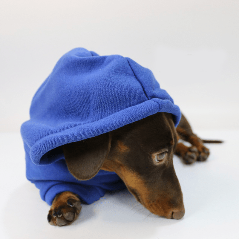 Warm Dachshund Dog Hoodie