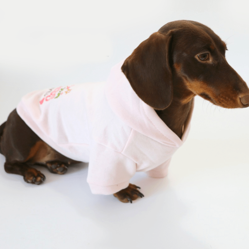 Warm Dachshund Dog Hoodie