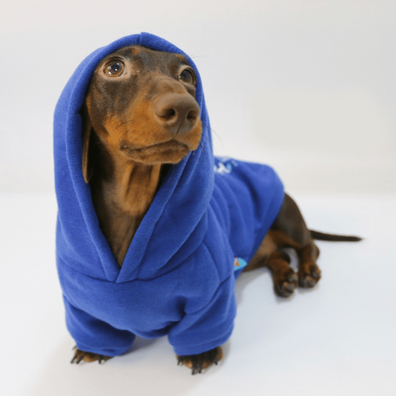 Warm Dachshund Dog Hoodie