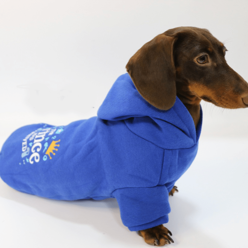 Warm Dachshund Dog Hoodie