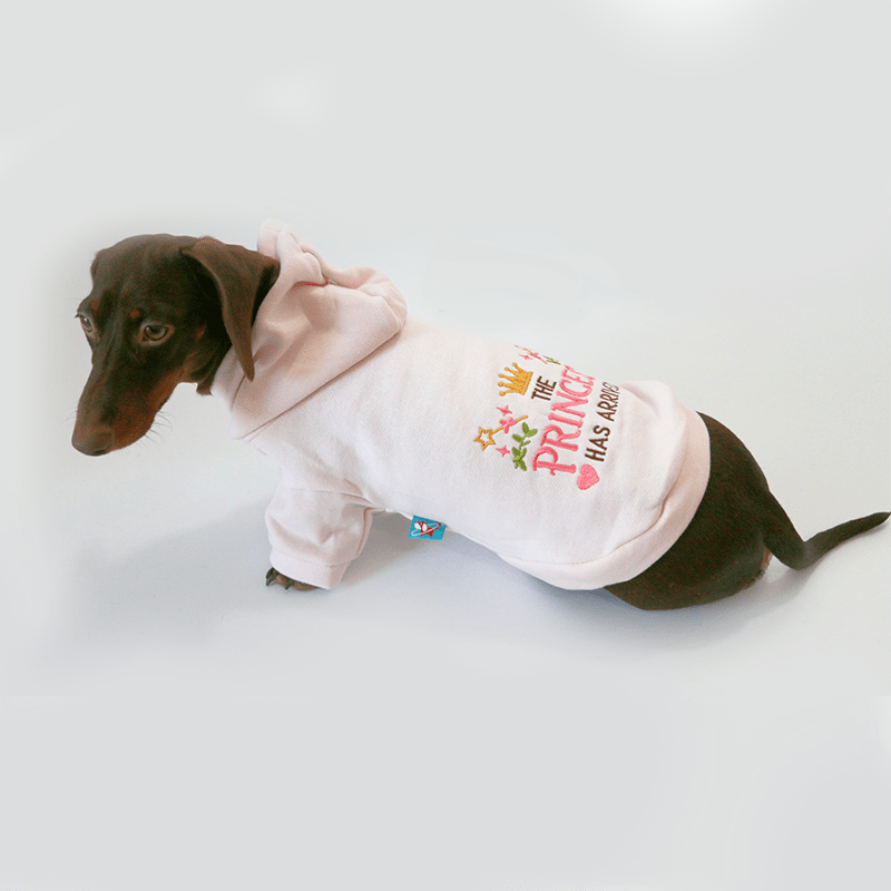 Warm Dachshund Dog Hoodie