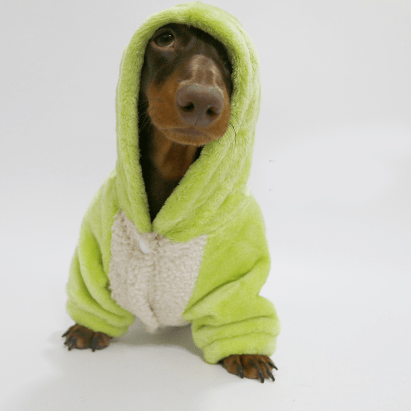 Cozy Fleece Dachshund Dog Hoodie