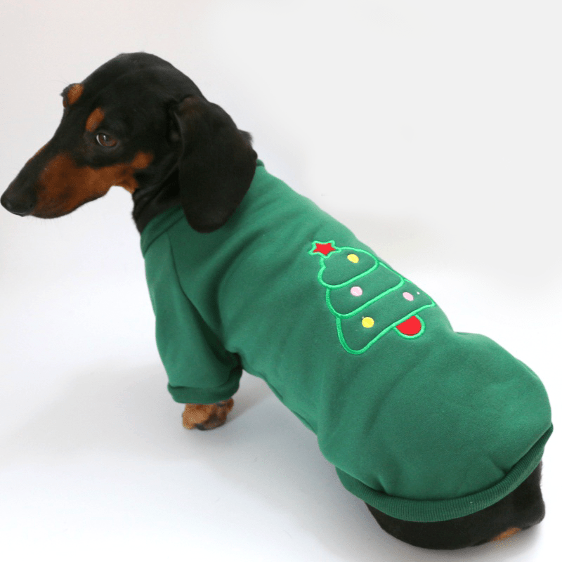 Festive Dachshund Dog Hoodie