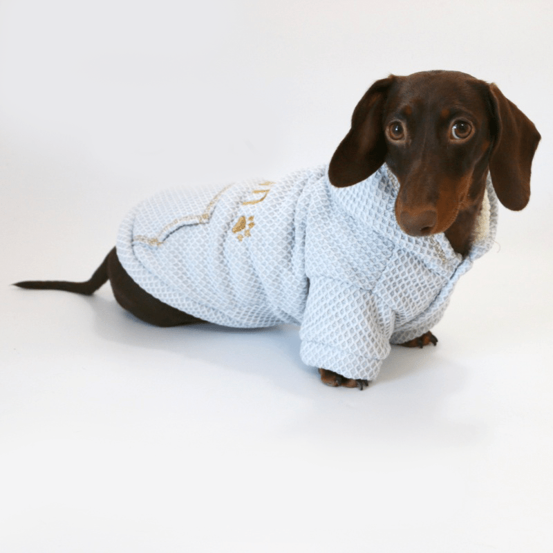 Winter Warm Dachshund Dog Hoodie