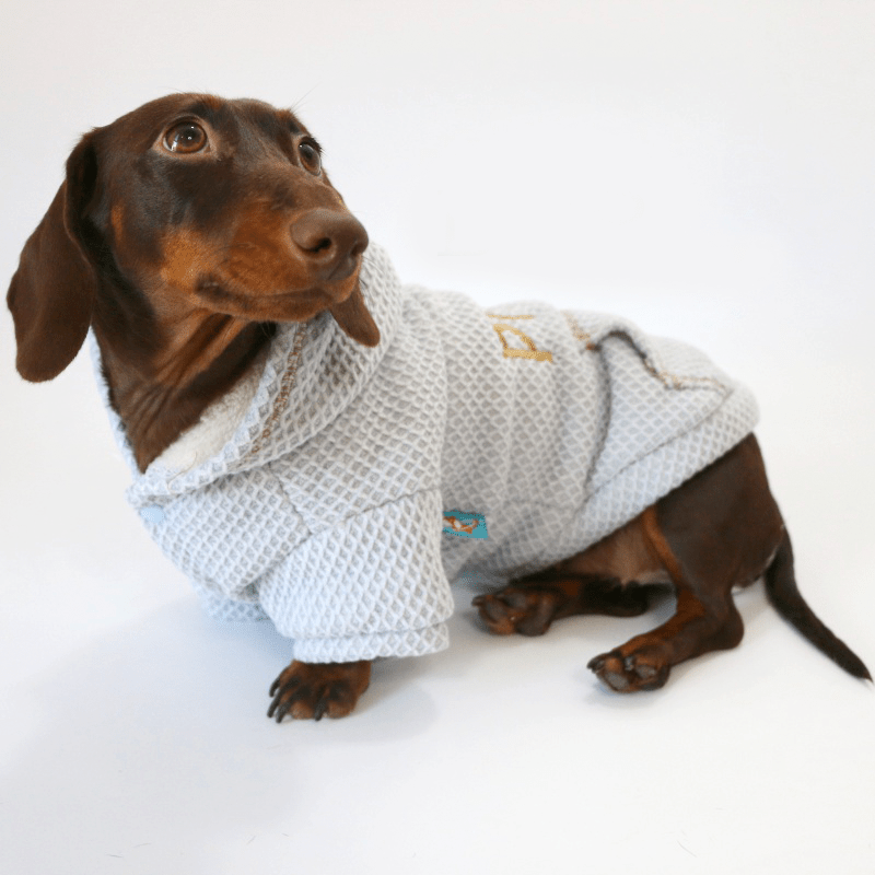 Winter Warm Dachshund Dog Hoodie