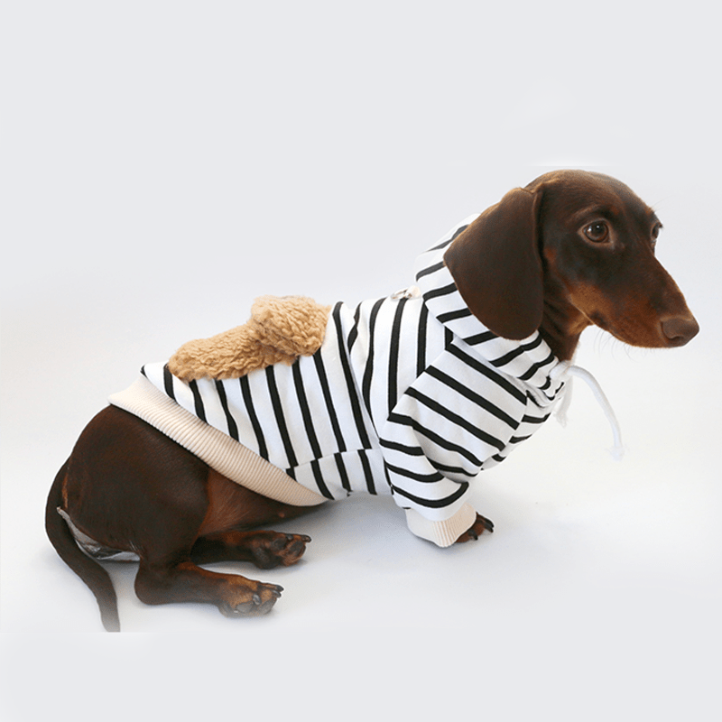 Warm Dachshund Dog Hoodie