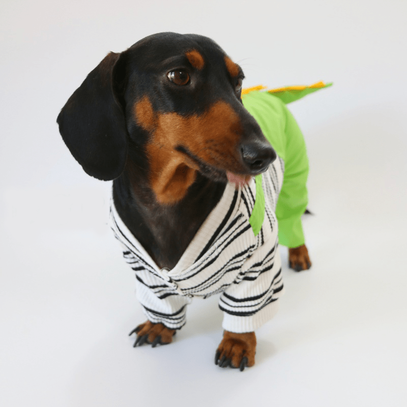 Dinosaur Dachshund Dog Onesies