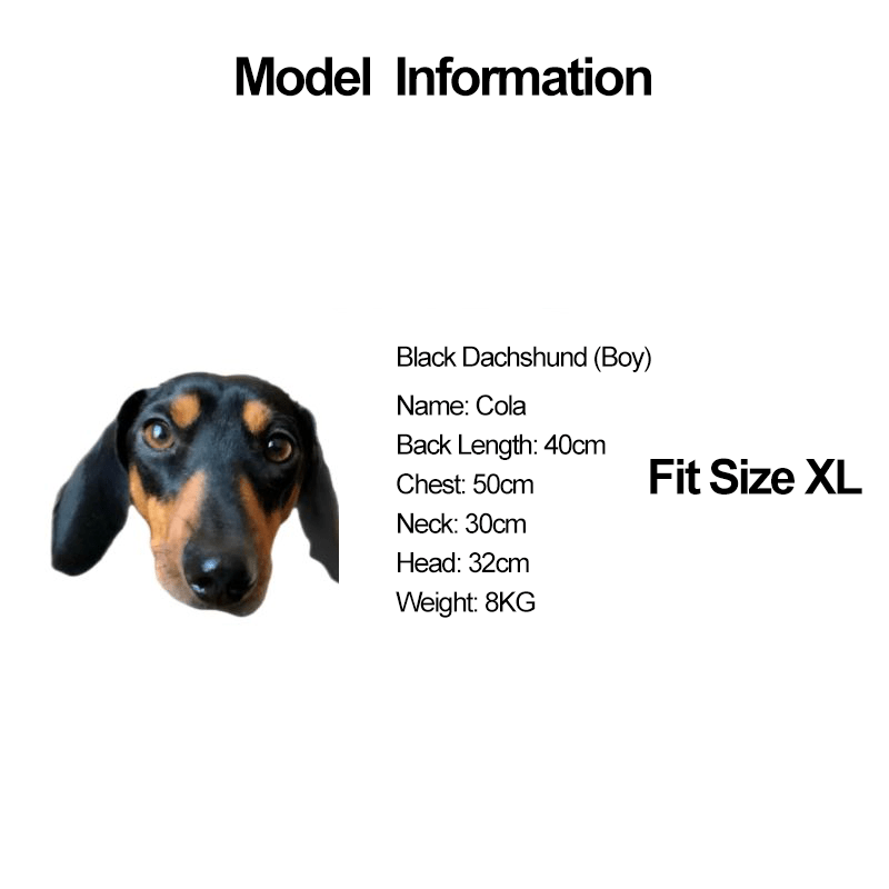 Dinosaur Dachshund Dog Onesies