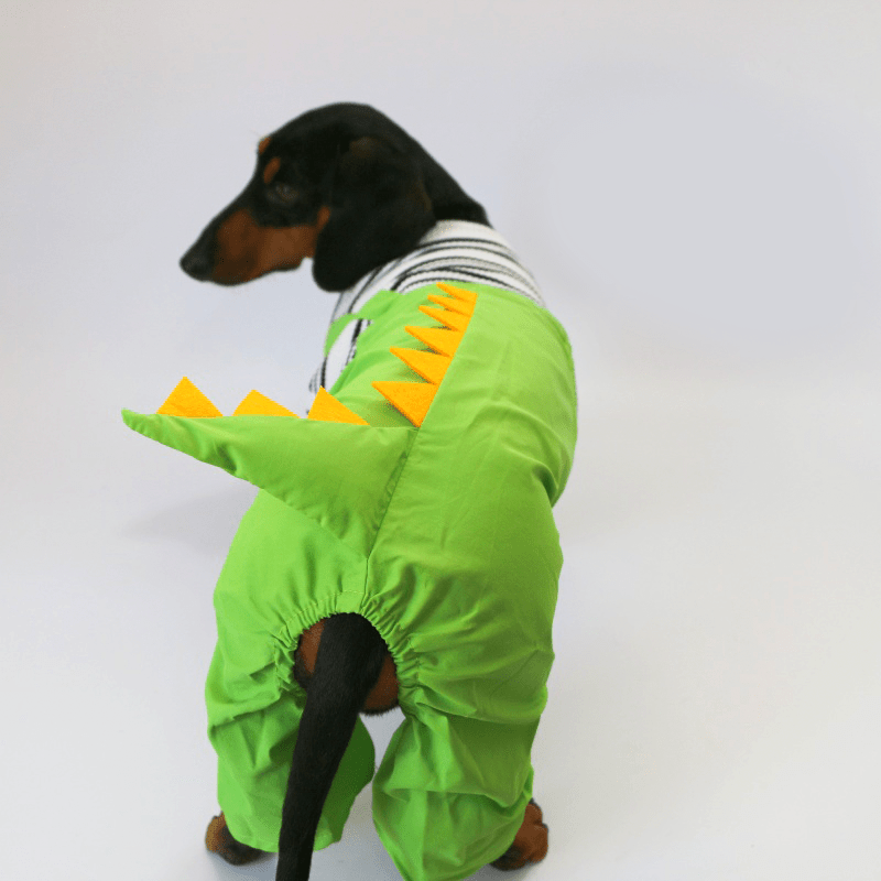 Dinosaur Dachshund Dog Onesies