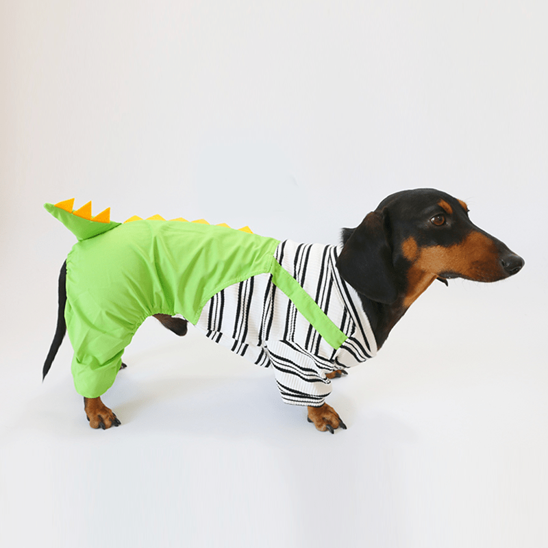 Dinosaur Dachshund Dog Onesies