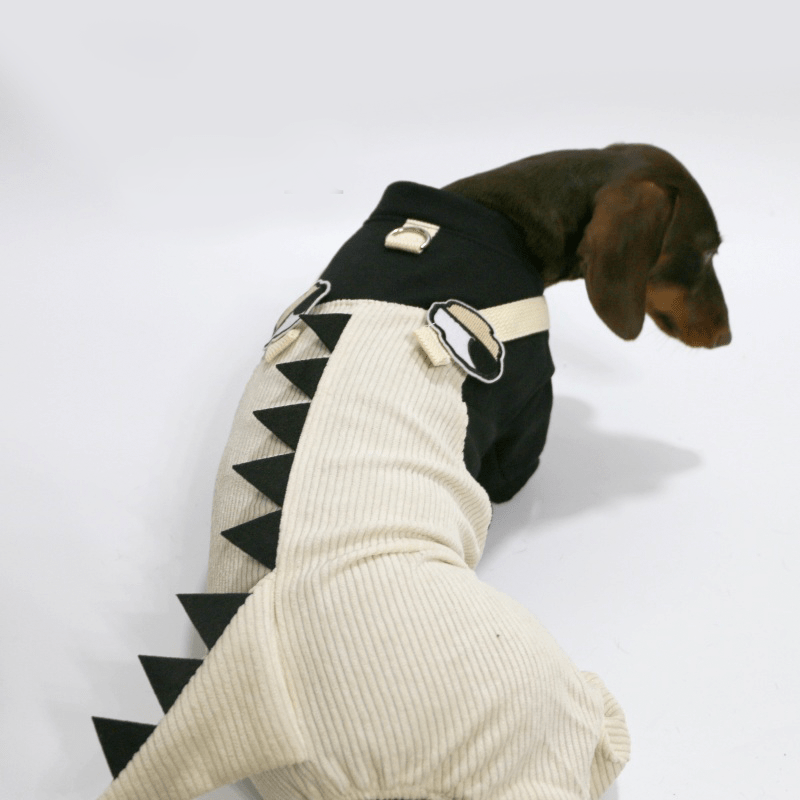 Warm Dachshund Dog Onesies