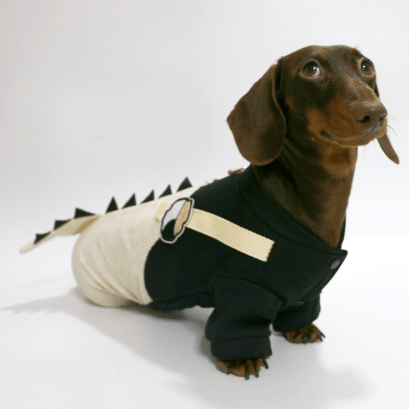 Warm Dachshund Dog Onesies