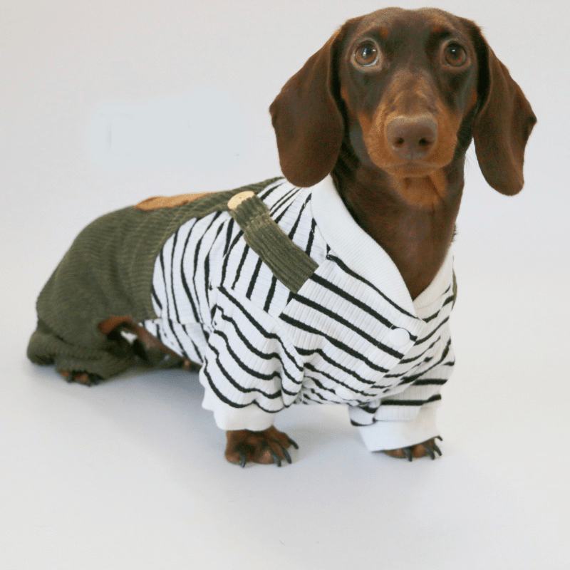 Warm Cozy Dachshund Dog Onesies