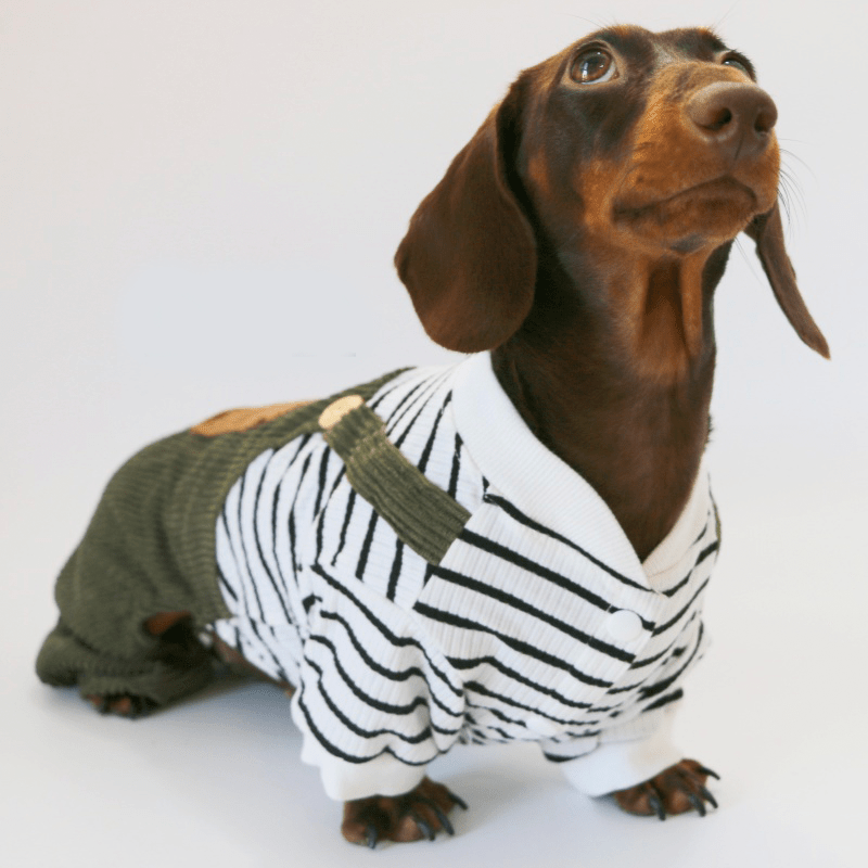 Warm Cozy Dachshund Dog Onesies