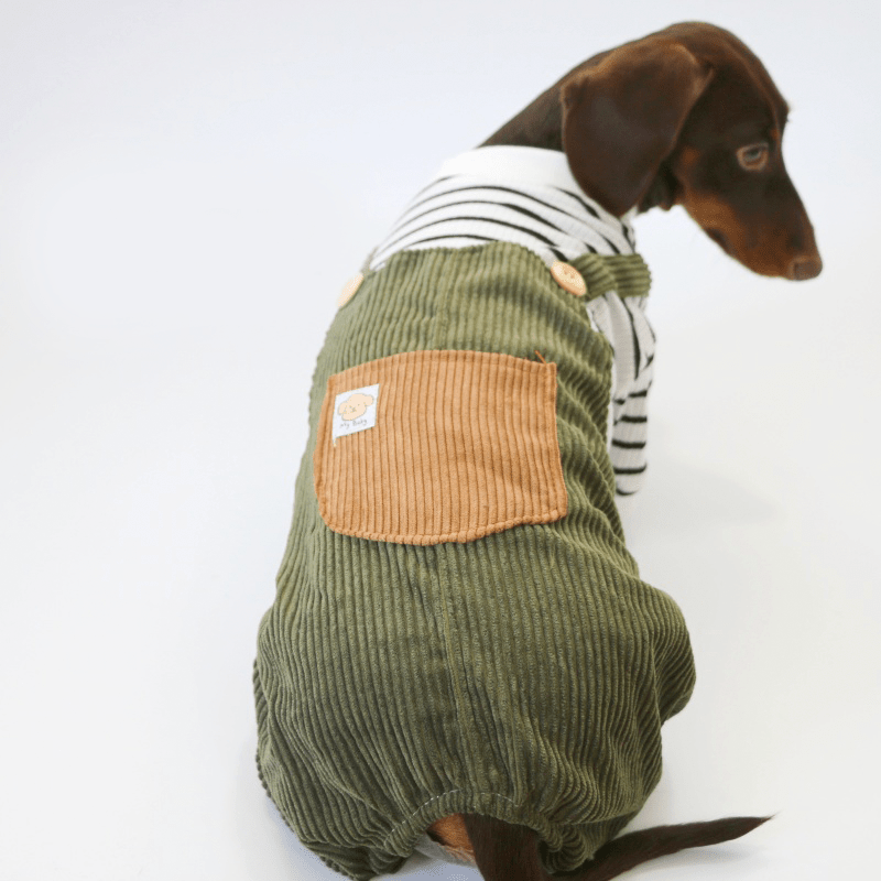Warm Cozy Dachshund Dog Onesies