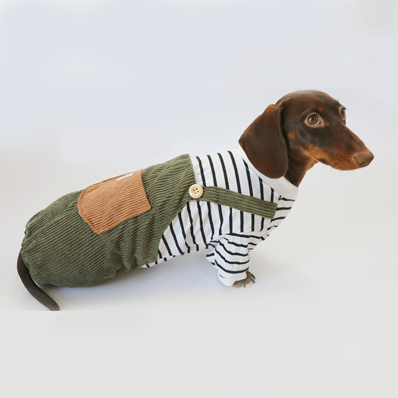 Warm Cozy Dachshund Dog Onesies