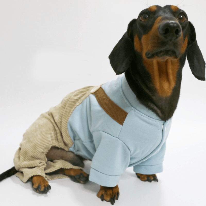 Lightweight Dachshund Dog Onesies Overalls