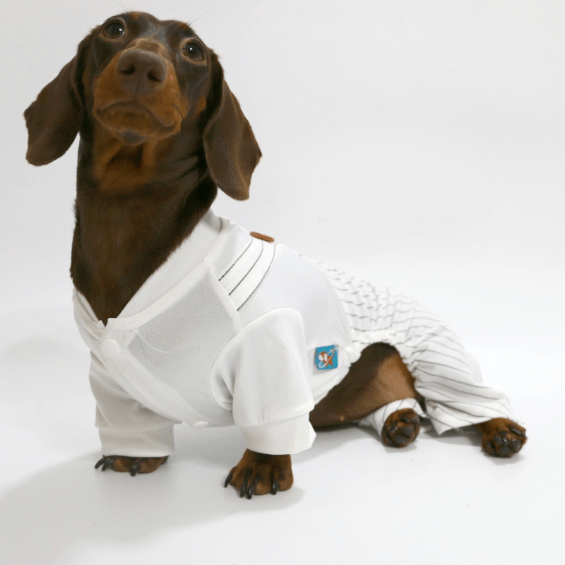Ultra Thin Dachshund Dog Onesies