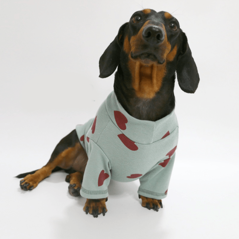 Soft Knit Dachshund Dog Shirt