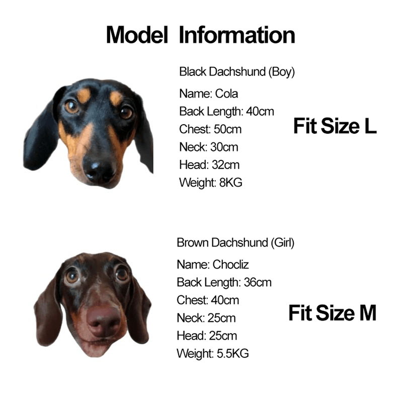 Soft Knit Dachshund Dog Shirt