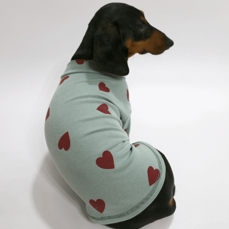 Soft Knit Dachshund Dog Shirt