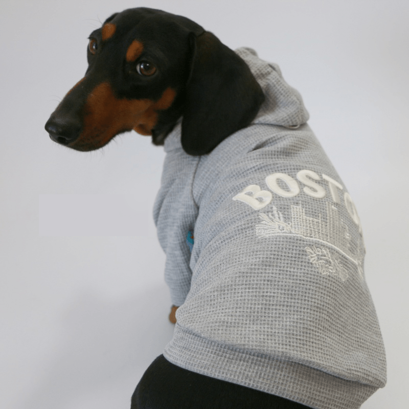 Trendy Plaid Dachshund Dog Hoodie Jacket