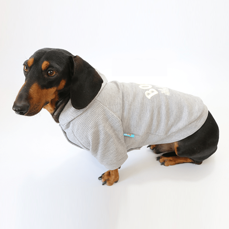 Trendy Plaid Dachshund Dog Hoodie Jacket