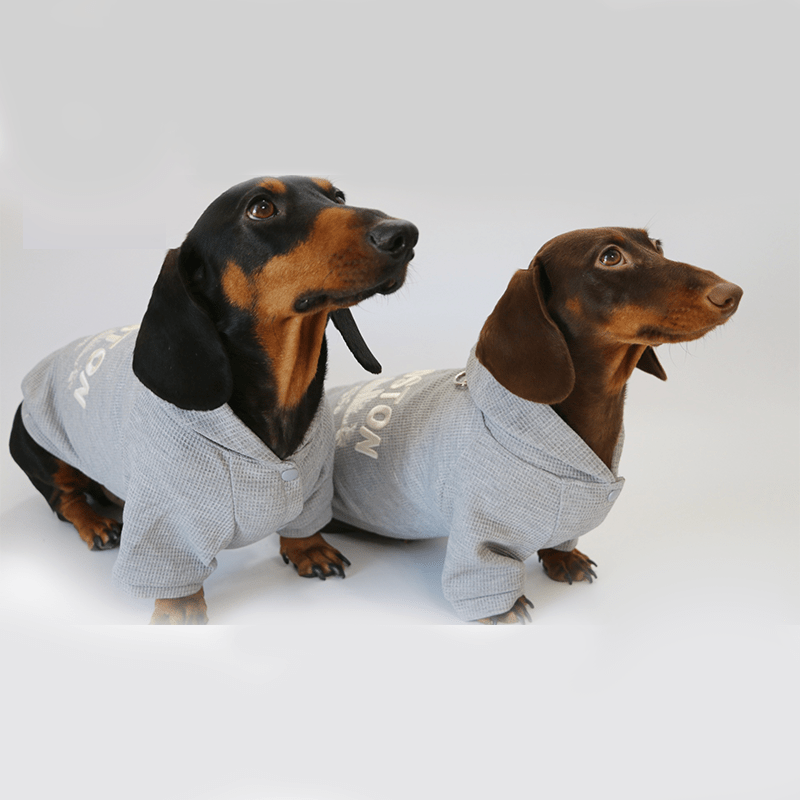 Trendy Plaid Dachshund Dog Hoodie Jacket