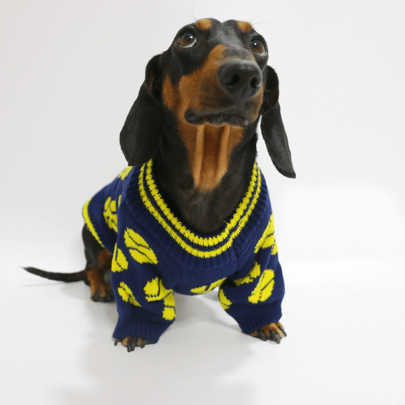 Cozy Knitted Dachshund Dog Sweater