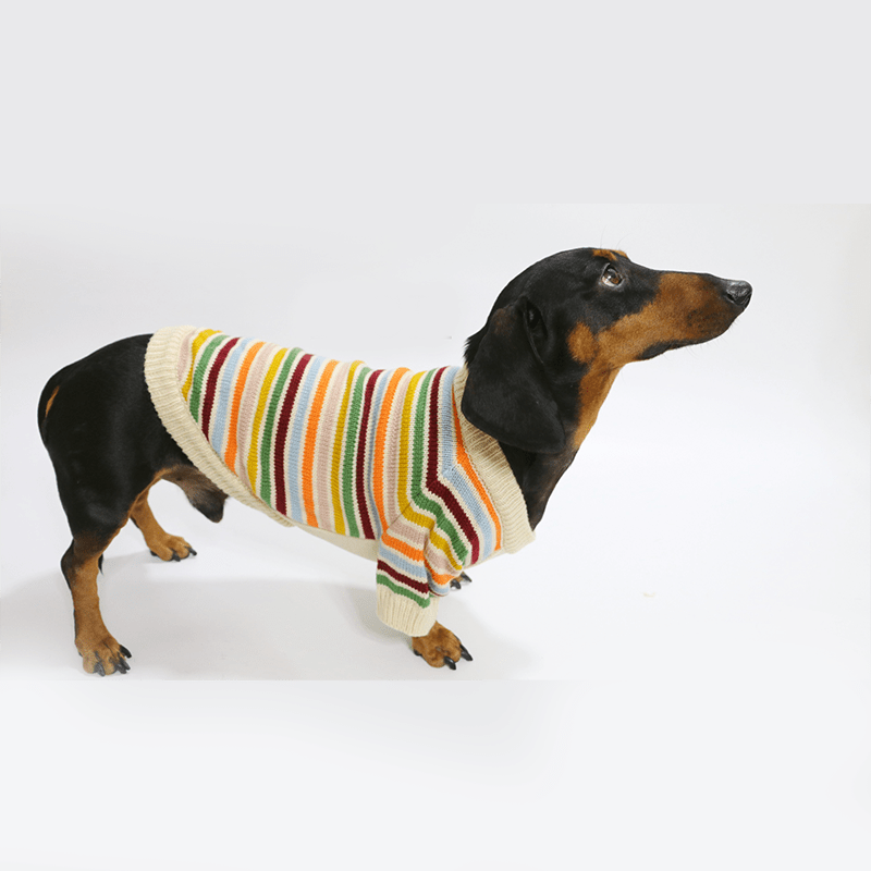Cozy Striped Dachshund Dog Sweater