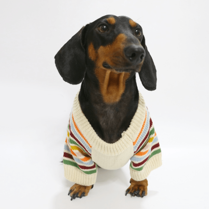 Cozy Striped Dachshund Dog Sweater