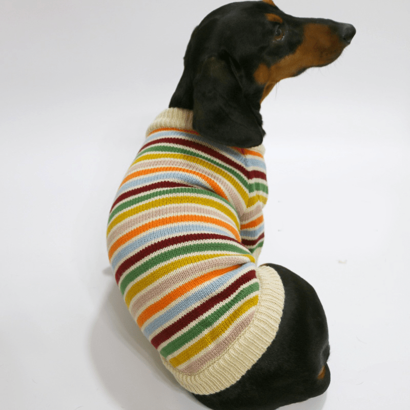 Cozy Striped Dachshund Dog Sweater